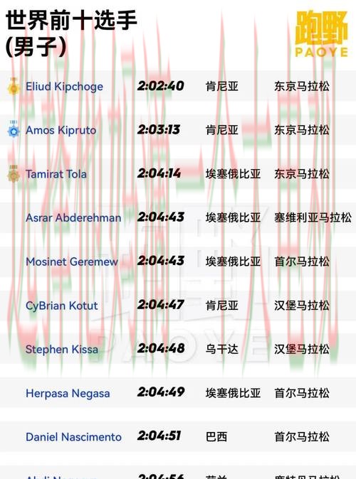 开云体育最新网站揭秘与评测
